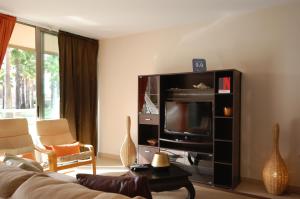 sala de estar con TV y sofá en Apartamentos Herdade dos Salgados, en Albufeira