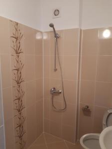 a bathroom with a shower with a sink and a toilet at Nelly Guest House in Sozopol