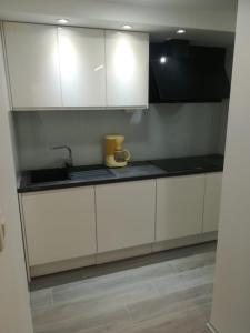 Kuchyň nebo kuchyňský kout v ubytování Apartmani Vidoš