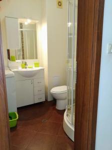 ソゾポルにあるApartments Elinor Budjakaのトイレ、洗面台、シャワー付きのバスルーム
