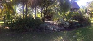 un jardín con palmeras y una casa de fondo en Cabaña Rio Lagarto, en Lívingston