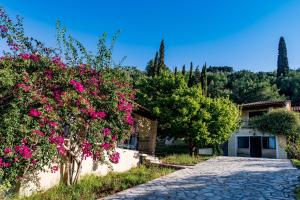 una casa con fiori rosa di fronte a un vialetto di Small Village Residences ad Akrotiri