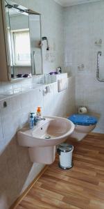 沃梅爾斯泰德的住宿－Fewo Kaiser，一间带水槽、镜子和卫生间的浴室