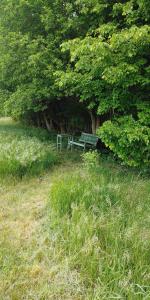 un banco del parque sentado bajo un árbol en un campo en Fewo Kaiser, en Wolmirstedt