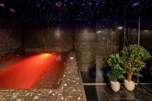 Zara Chalet في برانْ: غرفة تحتوي على اثنين من النباتات الفخارية والضوء الأحمر