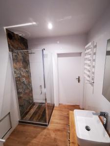 een badkamer met een douche en een wastafel bij M&K Apartamenty Deluxe Gdańsk Sobieszewo 2 in Gdańsk
