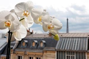 un groupe de fleurs blanches devant un bâtiment dans l'établissement La Tremoille Paris, à Paris
