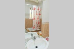un bagno con lavandino e specchio di Apartamento PEPA. En el corazón del Delta. a Sant Jaume d'Enveja Altre 47 foto