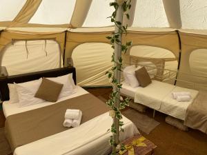 Zimmer mit 2 Betten in einem Zelt in der Unterkunft Fonclaire Holidays Glamping 'Luxury Camping' in Blond