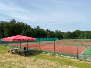 Tenis a/nebo squash v ubytování Kuutsemäe Puhkekeskus nebo okolí