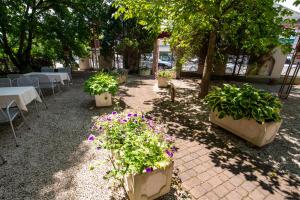 Giardino di Hotel Rokohof