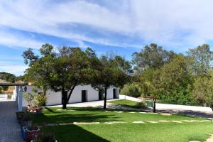 Foto dalla galleria di Quinta Solar da Portela ad Almodôvar Altre 72 foto