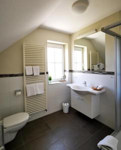 a bathroom with a sink and a toilet and a mirror at Hotel Garni Bendiks in Horumersiel