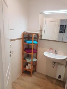 a bathroom with a shelf next to a sink at 3 wunderschöne Ferienwohnungen Kornhoff in Naumburg