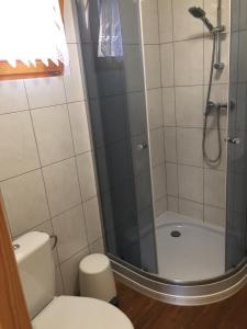 łazienka z prysznicem i toaletą w obiekcie Domek AMPERO 2 we Władysławowie