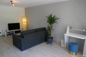 a living room with a couch and a tv at Ferienwohnung Schwarzwaldliebe nahe Freiburg, Terrasse in Bollschweil