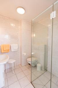 a bathroom with a shower and a toilet and a sink at Gästehaus BärenHof in Barkhagen