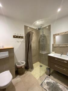 a bathroom with a shower and a toilet and a sink at Hotel gite d'etape San Pasquale in Conca
