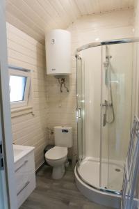 a small bathroom with a toilet and a shower at DOMKI SILVER 2 in Jarosławiec