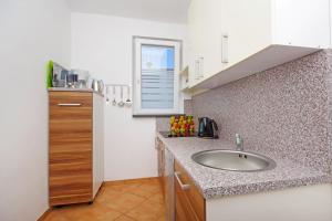 Kuhinja oz. manjša kuhinja v nastanitvi Apartments Silva