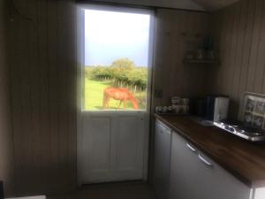 Gallery image of Peaceful Shepherd's Hut next to Horse Field in Morpeth