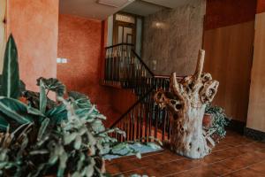 Zdjęcie z galerii obiektu Hotel A Veiga w mieście Samos