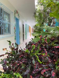 Foto dalla galleria di Hotel Posada Edem a Cozumel