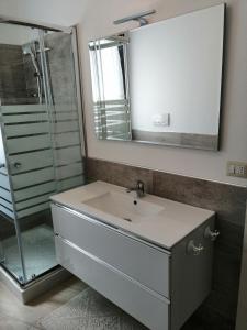聖安蒂奧科的住宿－Appartamento Monte Granatico 01，一间带水槽、淋浴和镜子的浴室