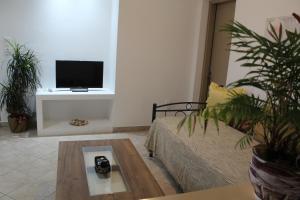a living room with a tv and a couch at VAKIS APARTMENTS 5 in Romanón