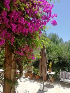 eine Terrasse mit rosa Blumen und einem Sonnenschirm in der Unterkunft Chambre lumineuse, calme absolu in Allauch