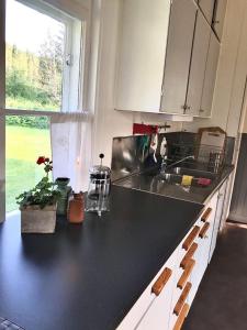 un comptoir de cuisine avec un évier et une fenêtre dans l'établissement Holsby banvaktarstuga, à Ransäter