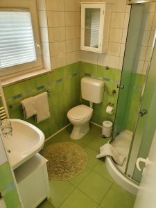 a green bathroom with a toilet and a sink at Jensen Countryside House in Bled