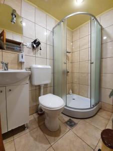 Et badeværelse på Pensiunea Leia Cârțișoara