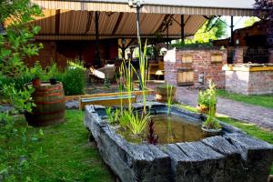 ogród ze stawem skalnym z roślinami w obiekcie Hotel Vineyard Inn - Szőlőskert w mieście Nagykanizsa +37 zdjęć