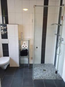 a bathroom with a shower and a toilet at Katjas Ferienwohnung in Nittel