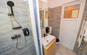 a bathroom with a shower and a sink at Grand Accommodation Apartments in Bucharest