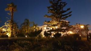 a white house with a christmas tree in front of it at Eftihia Apartments in Kos