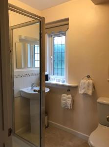 een badkamer met een wastafel, een spiegel en een toilet bij Coombe House in Bourton on the Water