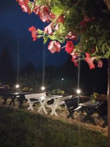 a white picnic table in a park at night at Casa Verde in Voronet