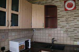 een keuken met een wastafel en een magnetron bij Апартаменти на Космонавтів in Vinnytsya