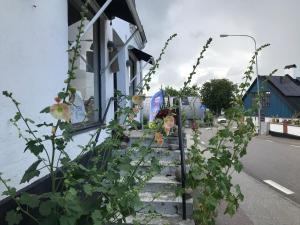 Il quartiere o una zona nella vicinanze della casa vacanze