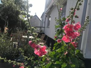 Giardino di Botanikerns hus