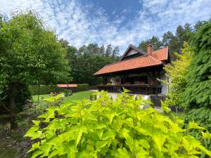 ein Haus in einem Garten mit grünen Pflanzen in der Unterkunft Dom w Krzyżach in Krzyże