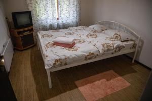 Postel nebo postele na pokoji v ubytování Casa Agricultorului Varzari