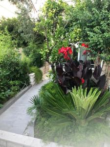 un jardín con flores rojas y plantas en una acera en House Filomena, en Rab