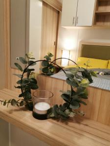 a counter top with plants and a candle on it at Luxury Holiday Home in Anderby Creek in Anderby