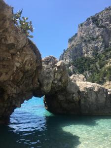 Φυσικό τοπίο κοντά σε αυτό το hostel