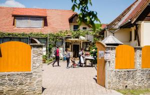 a group of people walking down a street next to a house at Casa Ciortea Ana in Sibiel