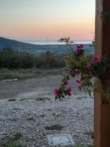 Príroda v okolí of the bed and breakfast