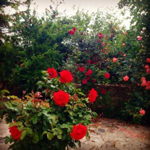 Jardín al aire libre en La Casa Rossa